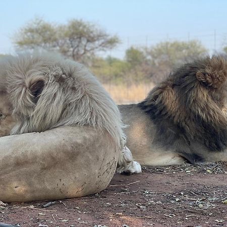 Simba Safaris African Pride Exotic Lodge Lephalale Exterior foto