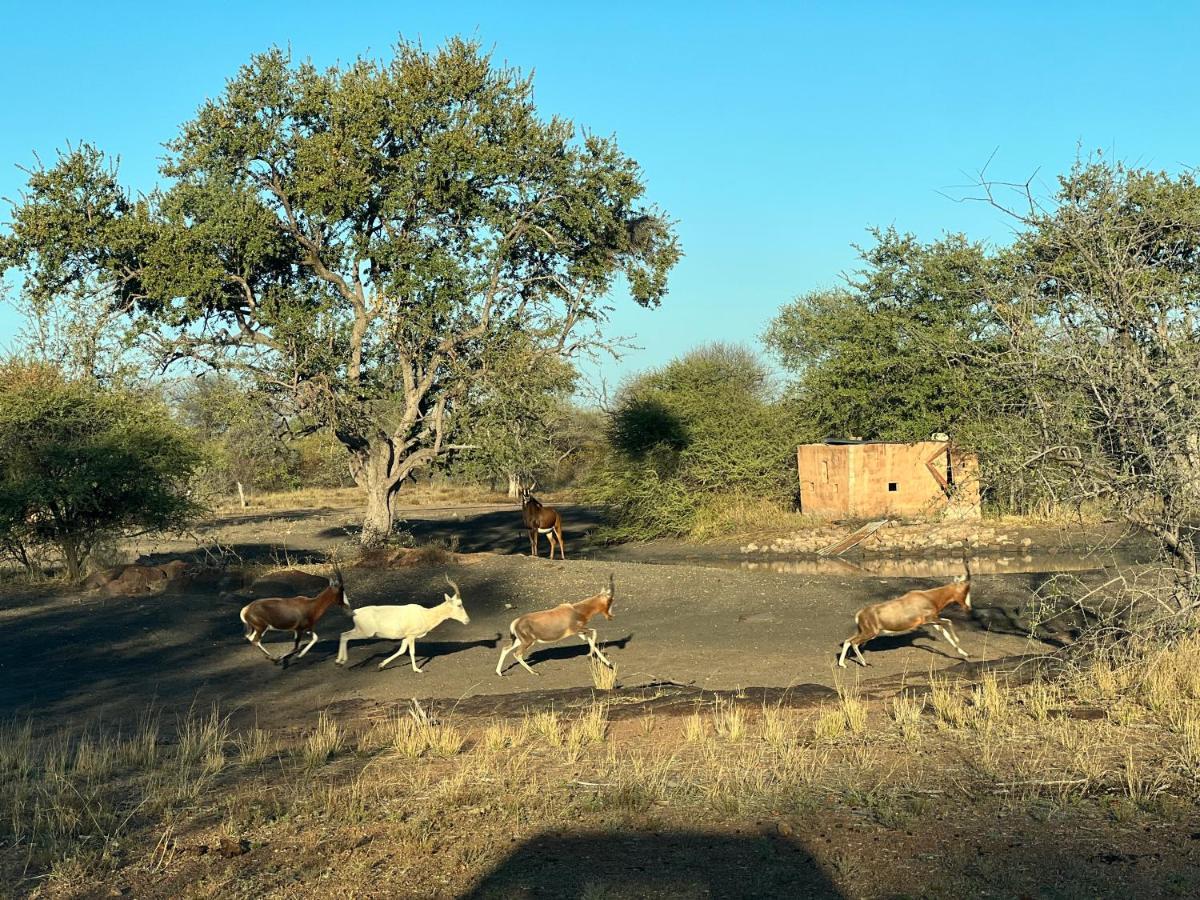Simba Safaris African Pride Exotic Lodge Lephalale Exterior foto