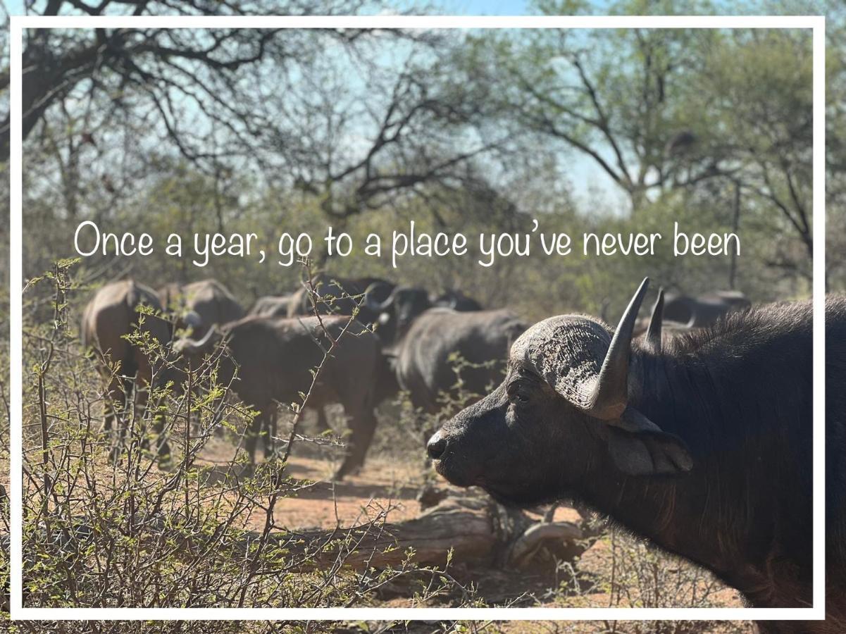 Simba Safaris African Pride Exotic Lodge Lephalale Exterior foto