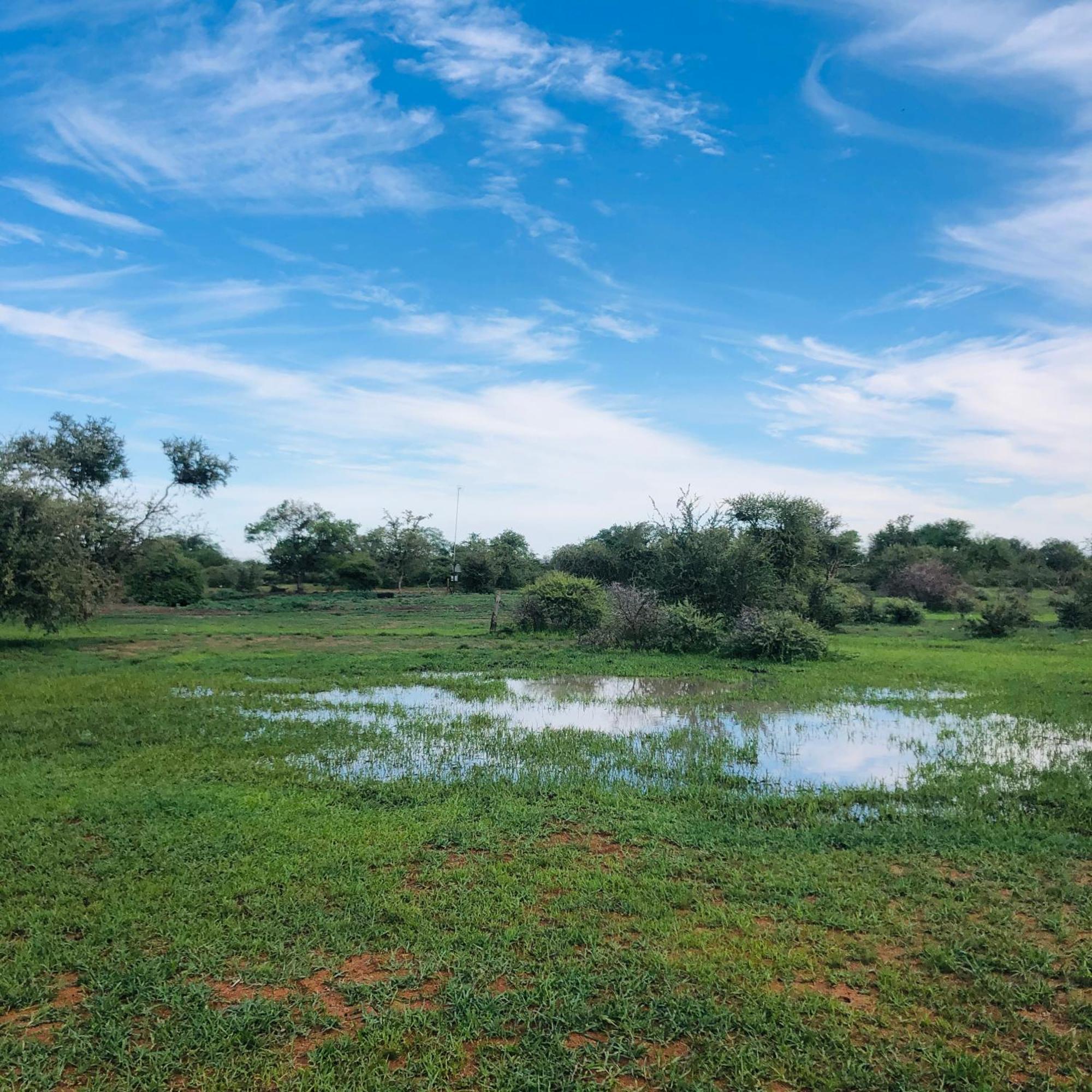 Simba Safaris African Pride Exotic Lodge Lephalale Exterior foto