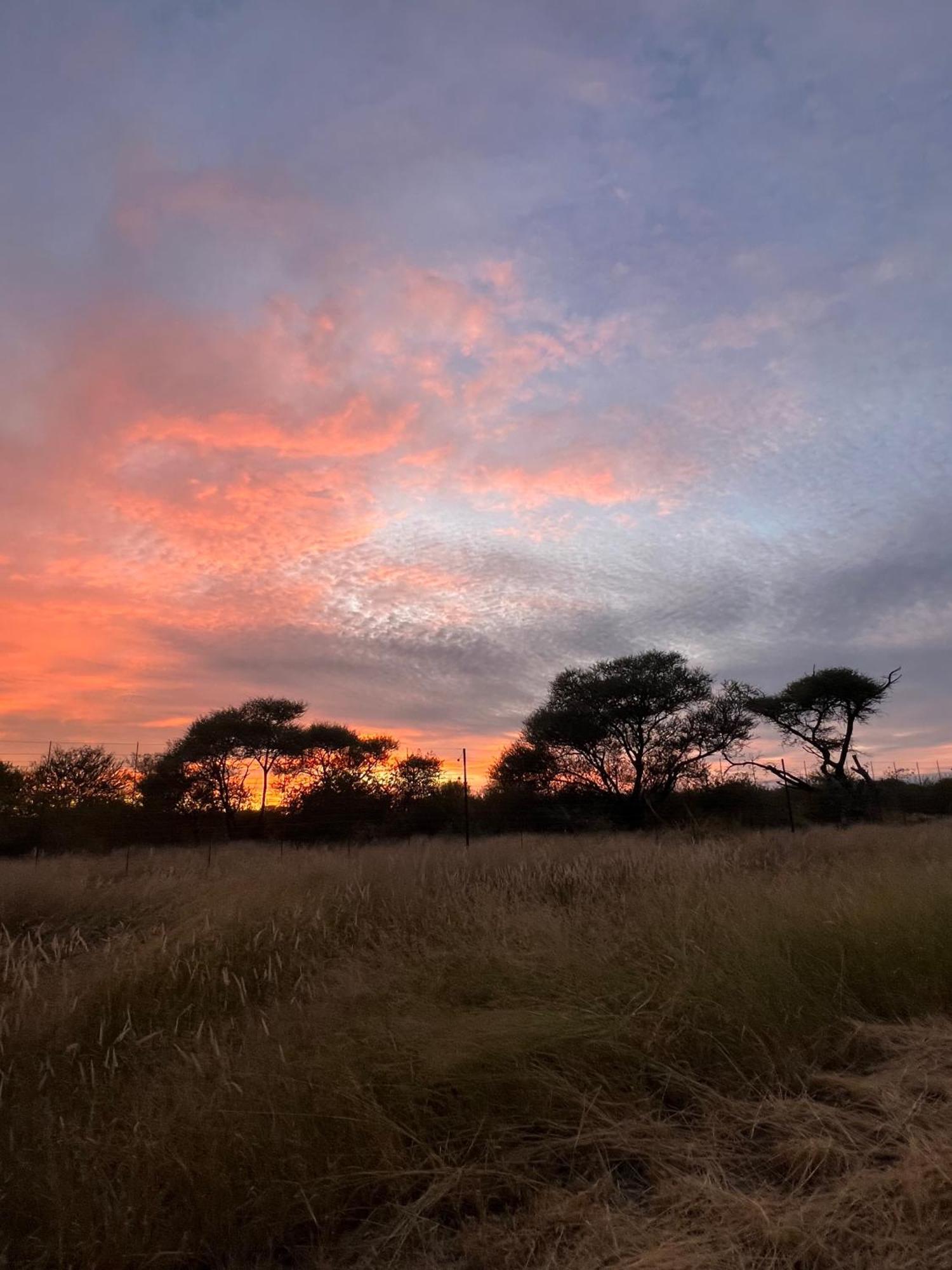 Simba Safaris African Pride Exotic Lodge Lephalale Exterior foto